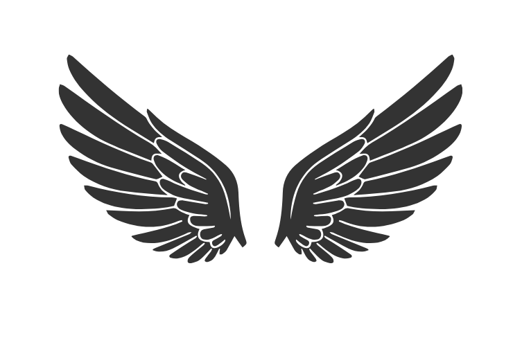 Angelic Look Beauty Academy